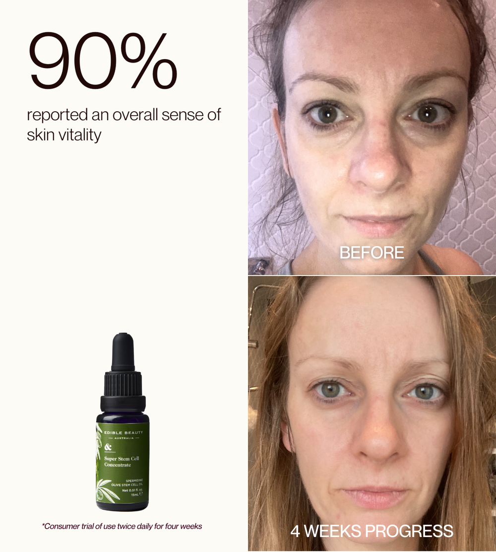 Stem Cell Discovery Kit